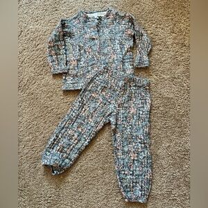 Lou Lou and Company Girls' Floral Grey and Pink Cotton Set 2T
